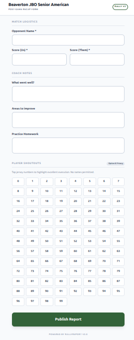 RallyReport Option B Grid Interface